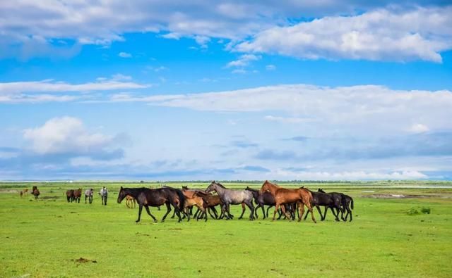 喜欢自驾吗？这十条线路你一定有喜欢的