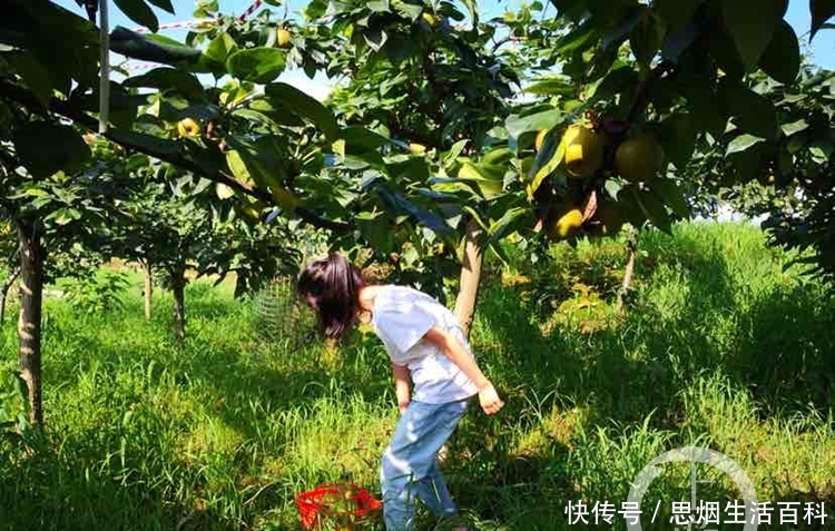  【回村】小伙回村建“新型农场” 结果成全国家庭农场示范场