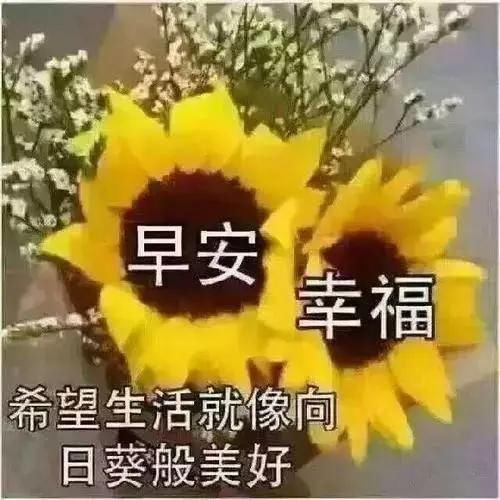  『早上』4月3日 微信早上最美的早安问候祝福语，早晨好祝福语图片