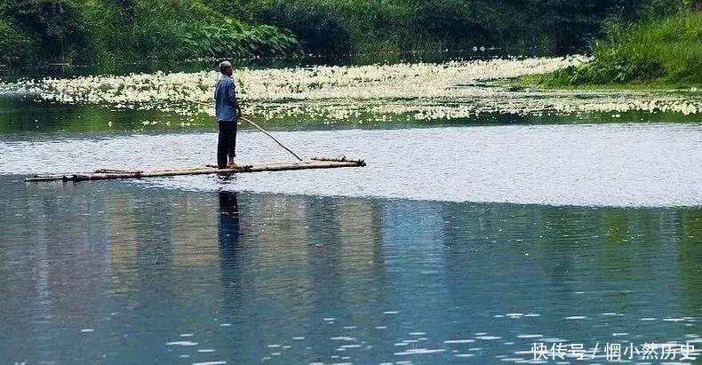 广西有一条会开花的河流, 外地人惊为奇景, 当地人却用这花做菜,
