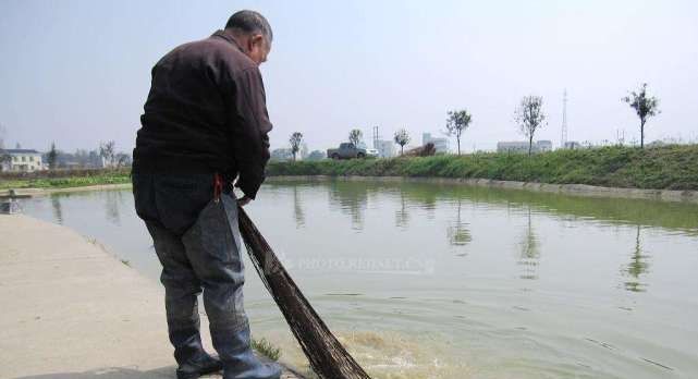 以前闹饥荒，农村人宁愿挖野菜，也不去捉虾捕鱼，为啥？