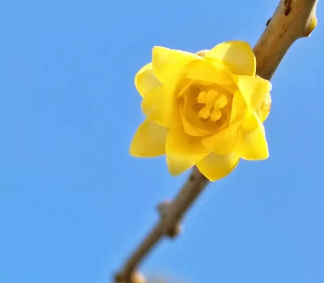 你离摄影大神，只差一个前景构图的距离！