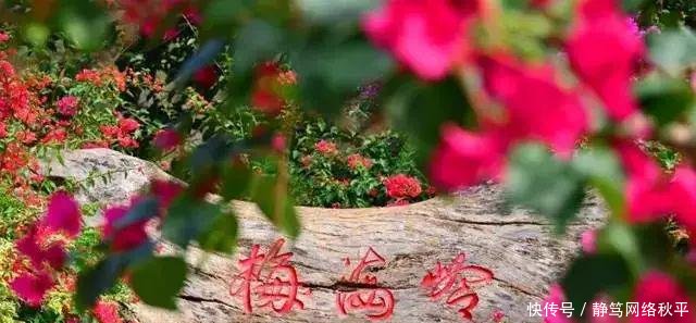 刚刚! 厦门被重新定位…一句话说尽了厦门人的现状!