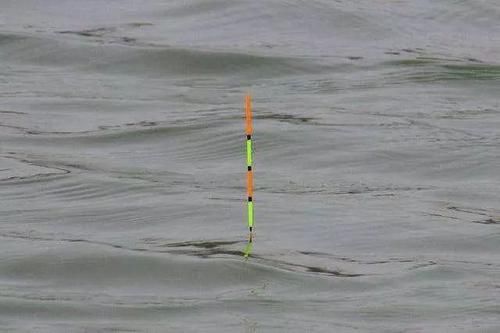  「野外水域」为何野钓没大鱼，不是大鱼没进窝，是开始调漂就出了问题
