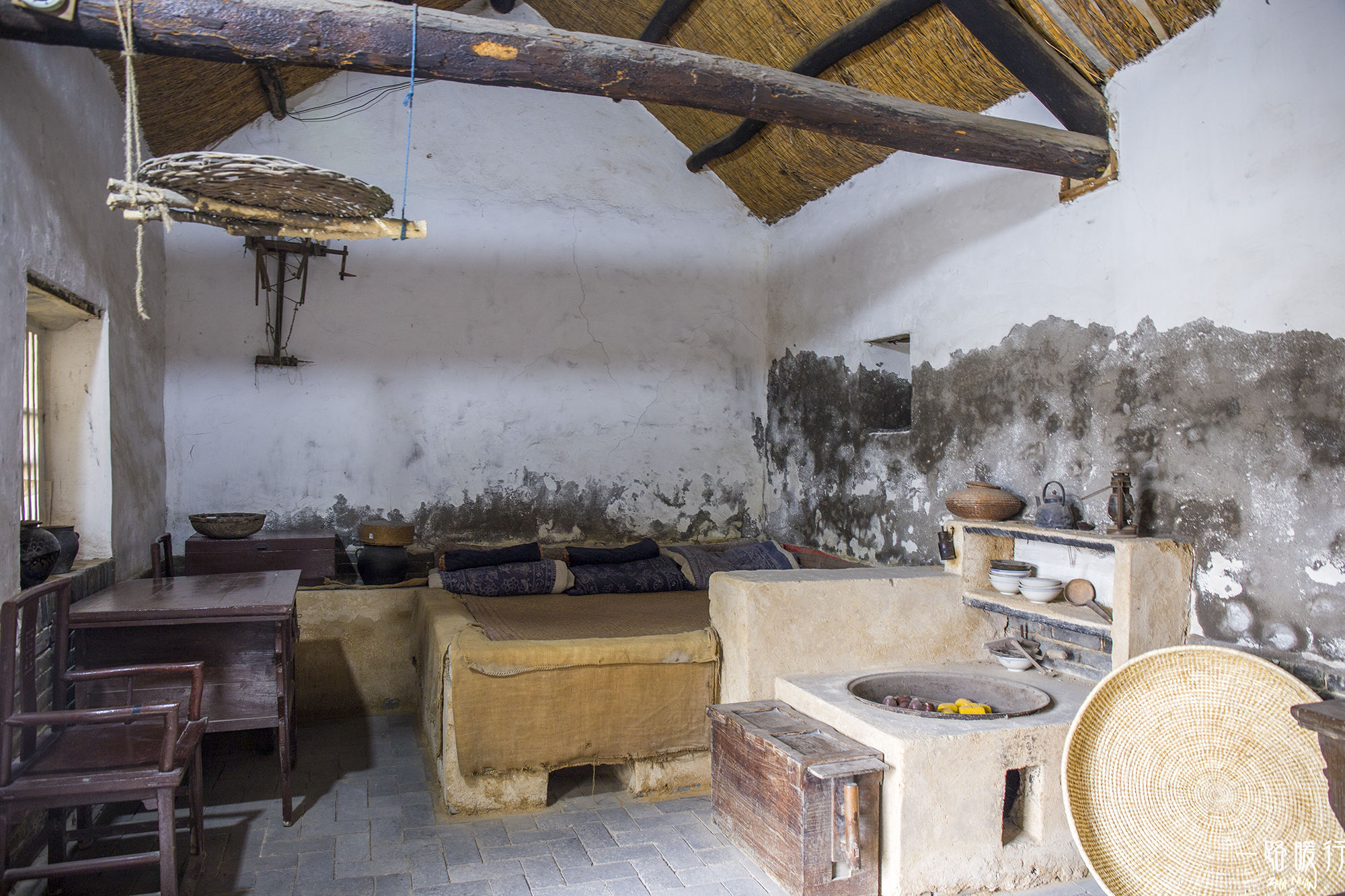 东营丨走过沧海桑田，终是在芦花飞雪的秋日遇见你