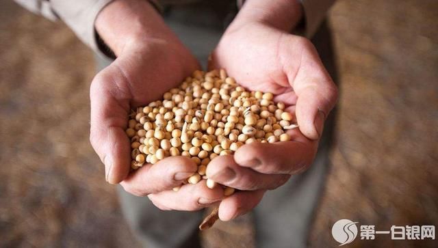 中国不买，美国要为大豆找“接盘侠”!欧盟买不起，又找上日本?
