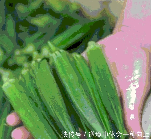 这种“辣椒”以前农村到处是，现10元一斤，农民种它年赚十几万