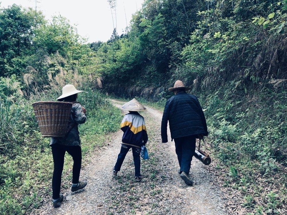  在家：喜欢上在家做的每一件事
