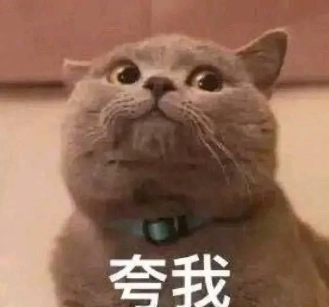  「代购」还花啥钱找代购，这么多好用的国货不香吗？！