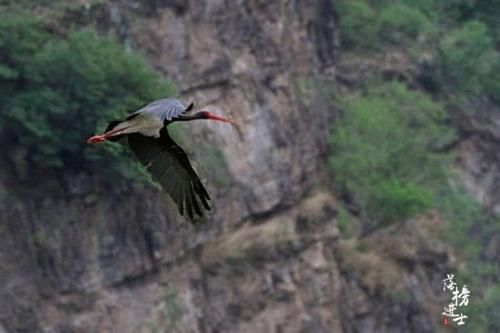 北京人最爱去的避暑胜地,是国家五A景区,王菲还曾在这里约会