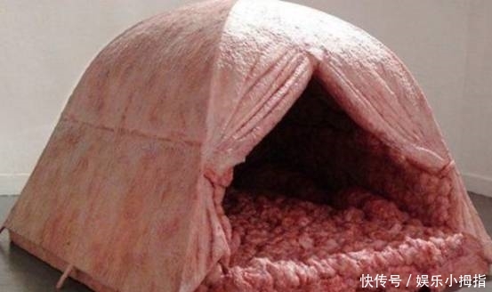 在帐篷里待一晚就给一万美金，很多人想挑战，看到帐篷后纷纷放弃