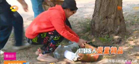 亲爱的客栈第三季张翰退出