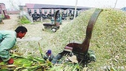 当初鼓励秸秆还田, 如今弊端显现, 农民质问专家: 损失谁来负责?