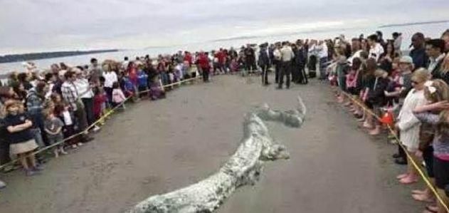 世界未解之谜：老一辈都说看到龙在天上飞，是谣言还是确有其事