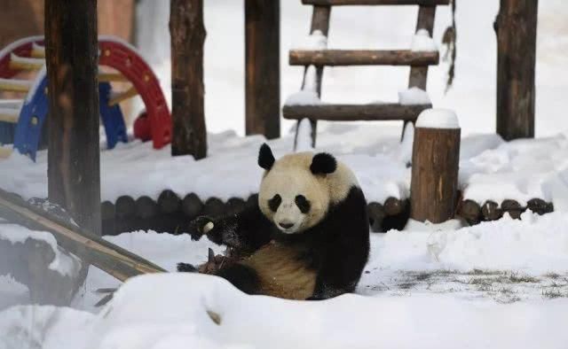 请您务必要尊重这场大雪！