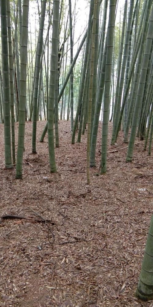  『钓鱼人』不离不弃！我是钓鱼人