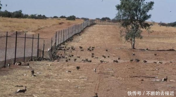 中国又一超级工程，万亩沙漠变绿洲？我国又将开辟治沙新奇迹