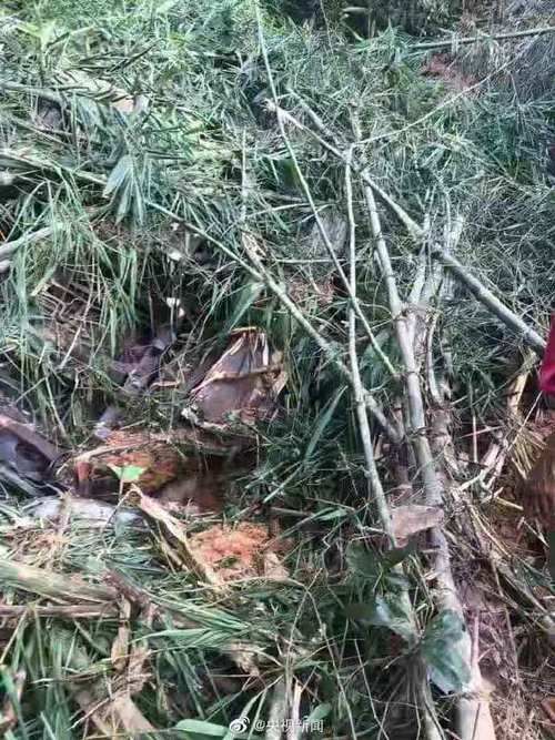 中国旅行团在老挝发生严重车祸：一行46人，伤亡情况不详