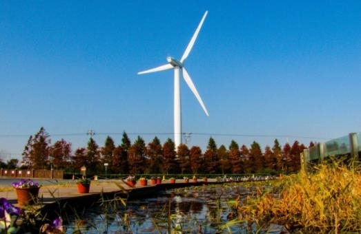 国内最神奇海岛？面积逐年递增，未来50年内将与大陆相连