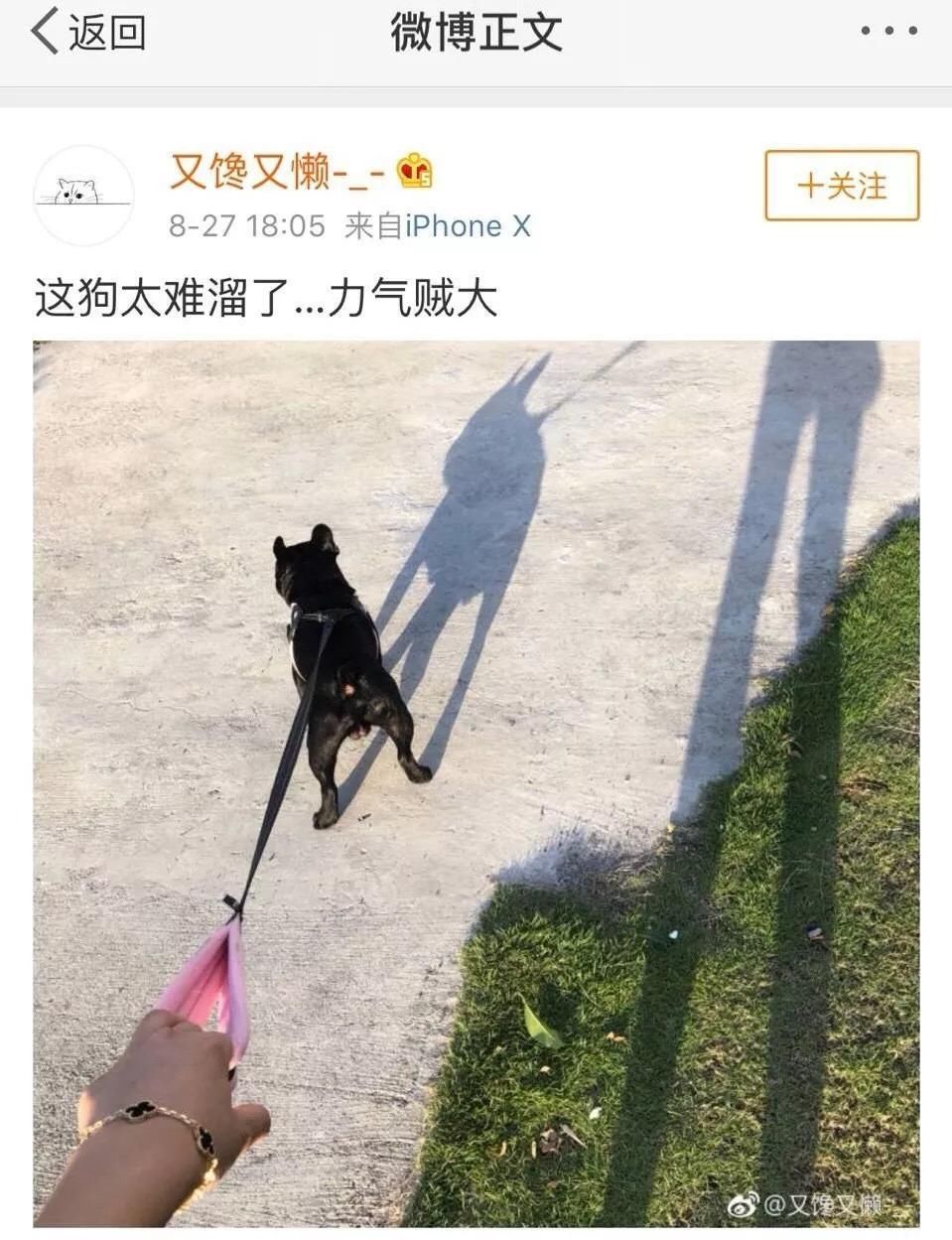 殴打孕妇，还欲扭转舆论说孕妇碰瓷?比尔晴还狠的喜塔腊saya出现