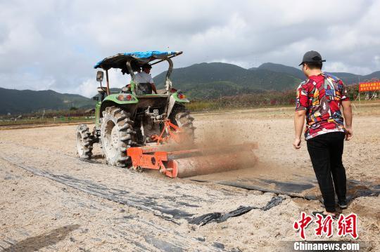 袁隆平“超级稻”旱地覆膜直播三亚下种