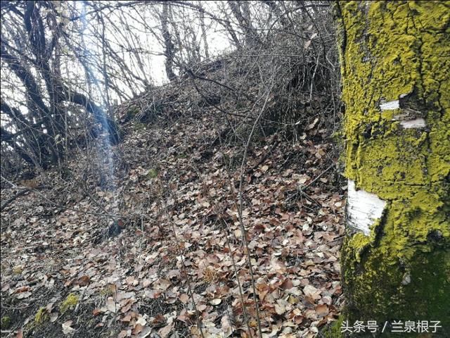 兰州秋天最美的景 北国南地石佛沟