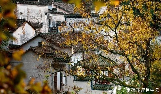 安徽旅游探秘九子岩 塔川秋色 木坑竹海 秋游新安江山水画廊3日自