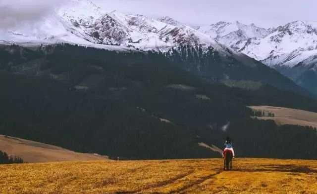 推荐路线：北疆最美秋景环线