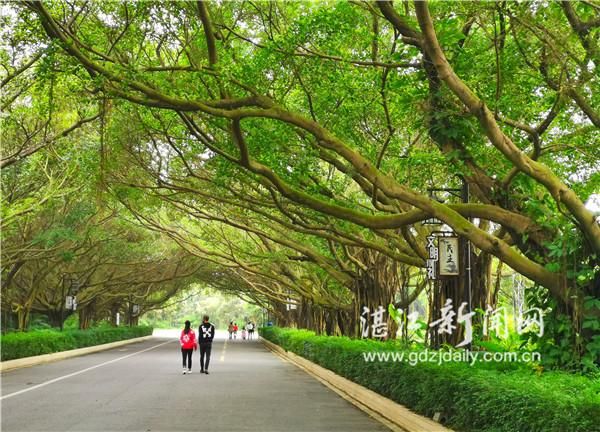  『修复』三岭山生态修复荣获广东省十大范例