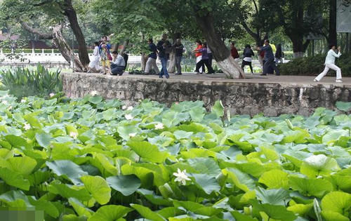 昆明罕见“零差评”景区！颜值超高、处处惊艳，最重要免费