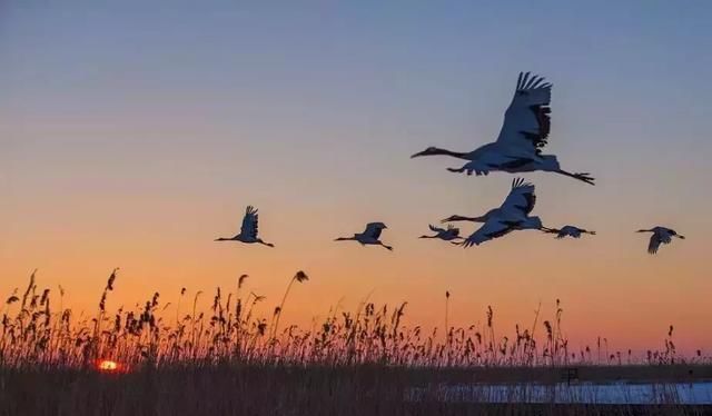 惊艳设计圈的10套老宅改造，真美！