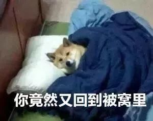 「搞笑段子」逗你一笑:从一百四十四个物品中挑选出十四个,进行排列组合,打