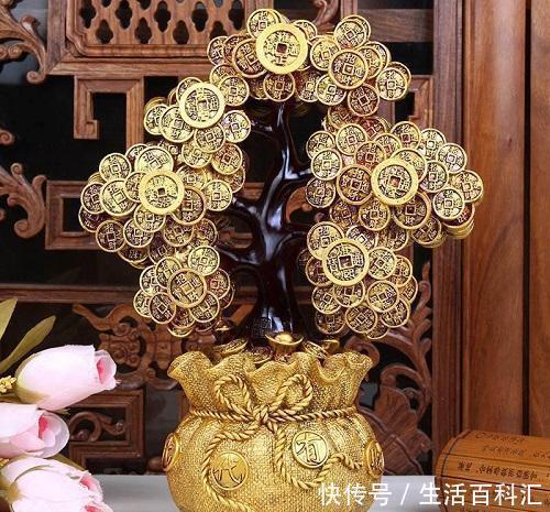 养花|养花就是为了好兆头,招财树、发财花过年安排上,好看又好养