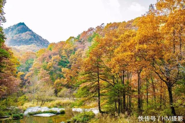 秋天洛阳12处景点,我劝你千万不要来,太美了