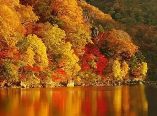 仍未公开的绝对秘境！中国版的“黄石公园”，亚洲最大的冰瀑－－