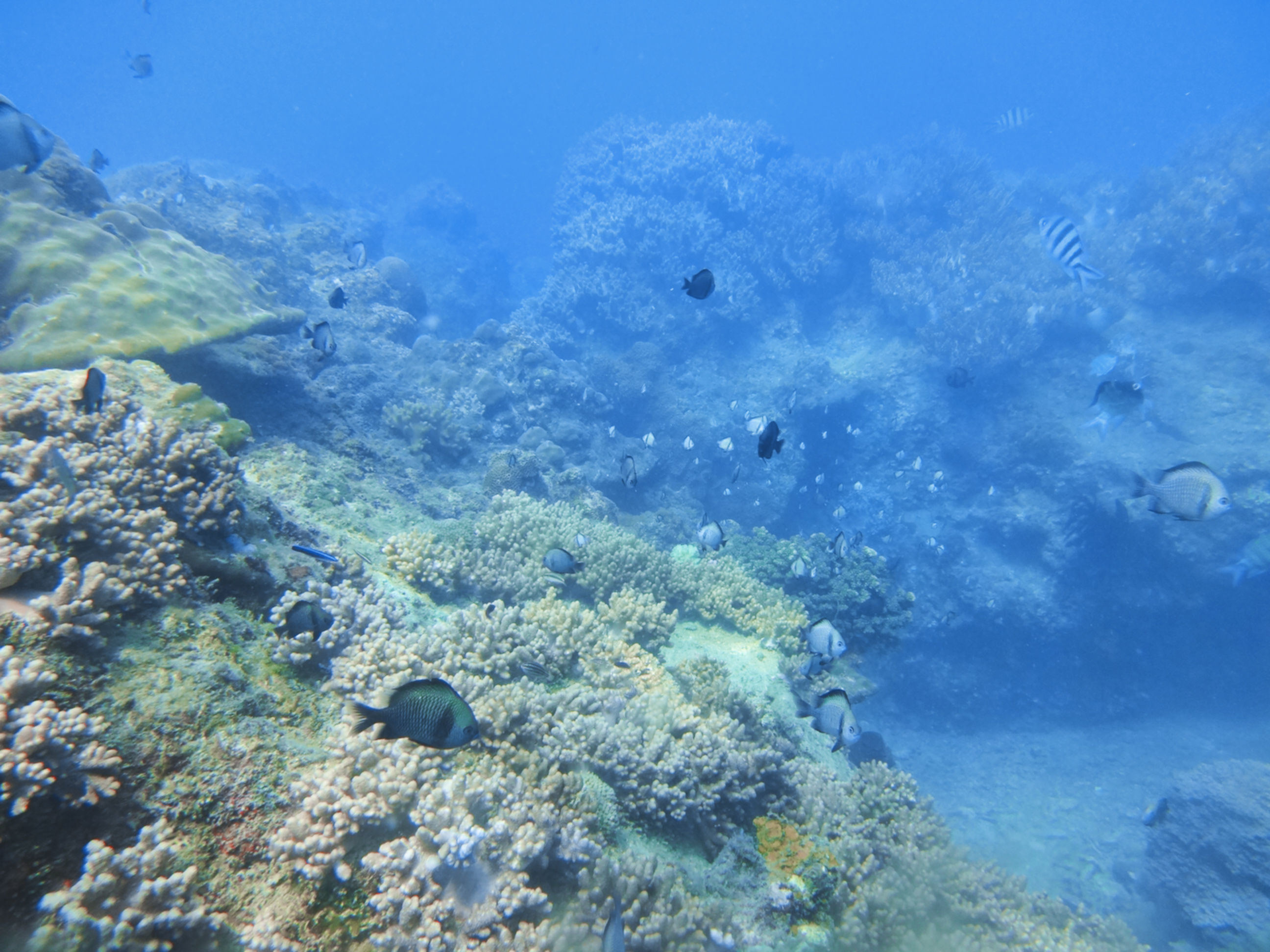 游走东经108°——我在三亚海棠湾等你