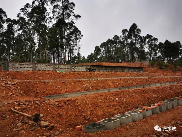  「次性奖补」简办“身后事” 今年东坡区将建成8个农村公益性墓地