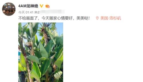 跟绝地求生战队