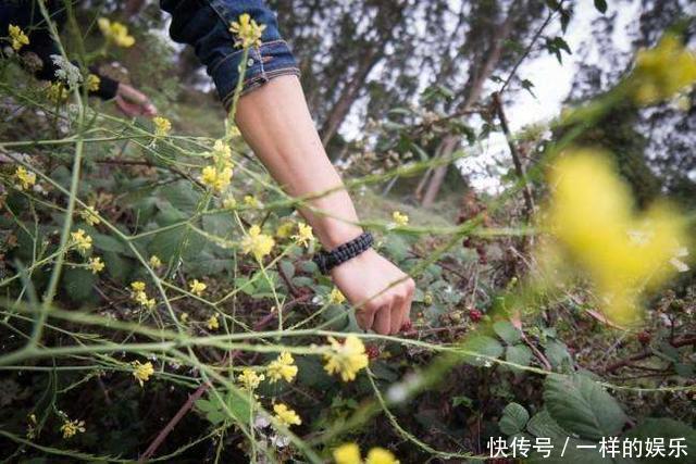 建议户外爱好者野外探险带上这几款户外装备，便携实用还安全