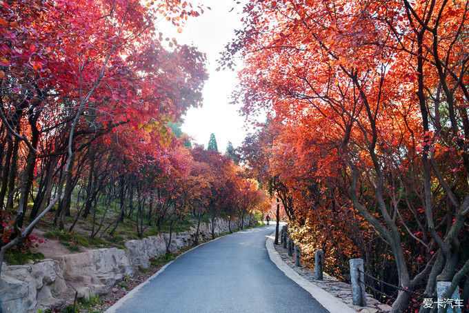 红遍万山的红叶谷【2020热门旅游景点】