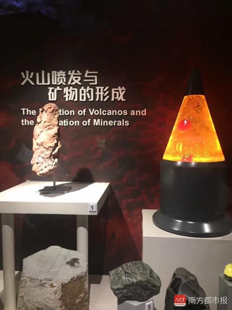 开国内先河|创新体验式博物馆进驻正佳,快来感