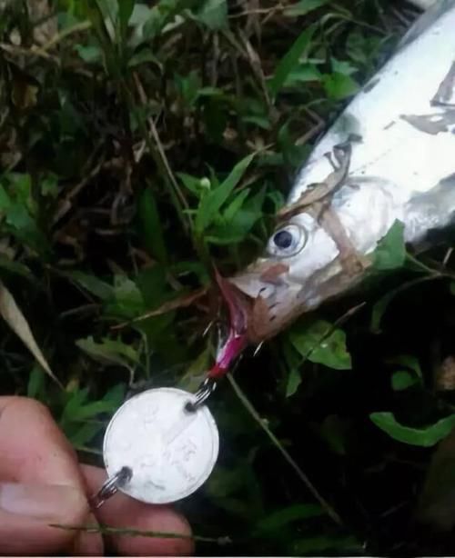  [神器]钓鱼圈大神们超牛diy钓鱼神器，让我们一起膜拜吧
