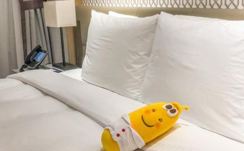 航拍韩国济州岛美景,四天三晚吃喝玩乐全攻略,总有你喜欢的