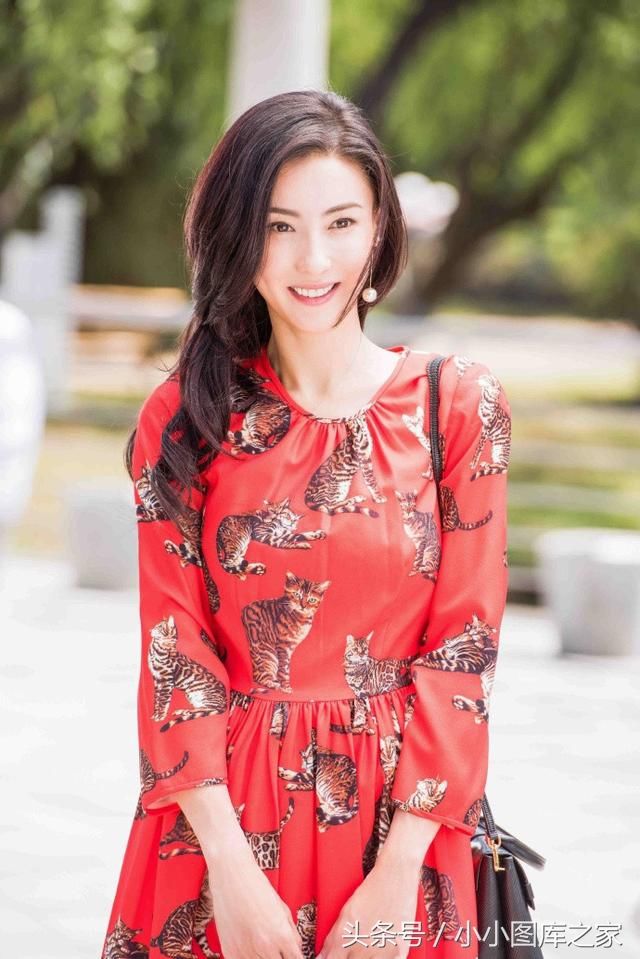 李湘与张柏芝，同穿红色印花连衣裙，网友:这差别有点大了吧?