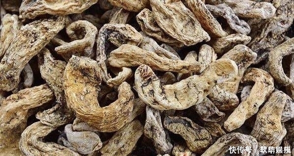  「情绪」农村老大爷上山采药,一个树干挖到一堆土豆,得知真相后情绪失控！