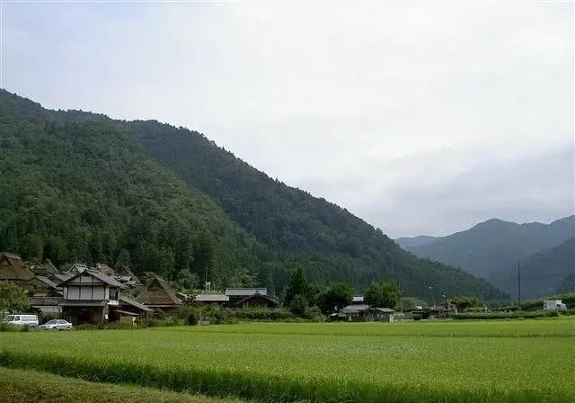 人口大城市化的日本，农村啥样？