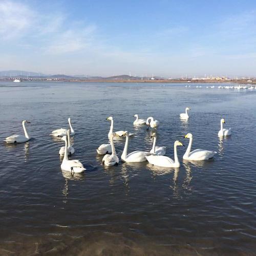 哪个省的人民最热情？青岛，一个去了还想再去的地方