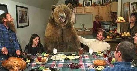 22张神奇的照片，一张都没有PS过，实在开眼了！