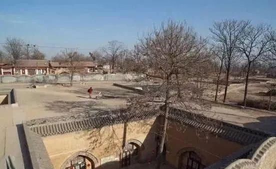 太太太太惊叹了！在地下4000年不灭！神人震撼全球！