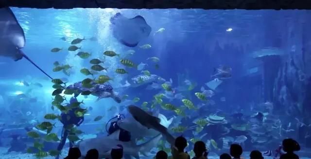 中国影像方志|恩施:大峡谷清江画廊美不胜收 土家族百米长宴歌声